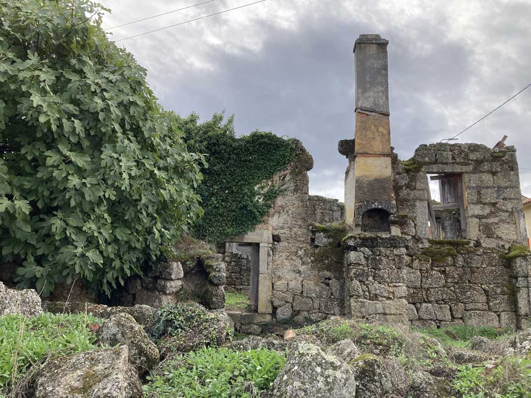 Ruins in the village